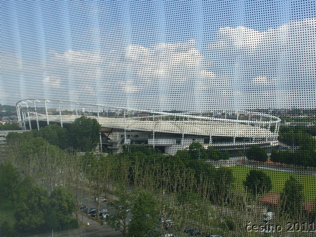 DSC07571.JPG