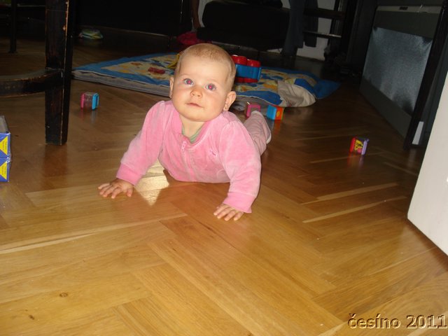 DSC04133.JPG