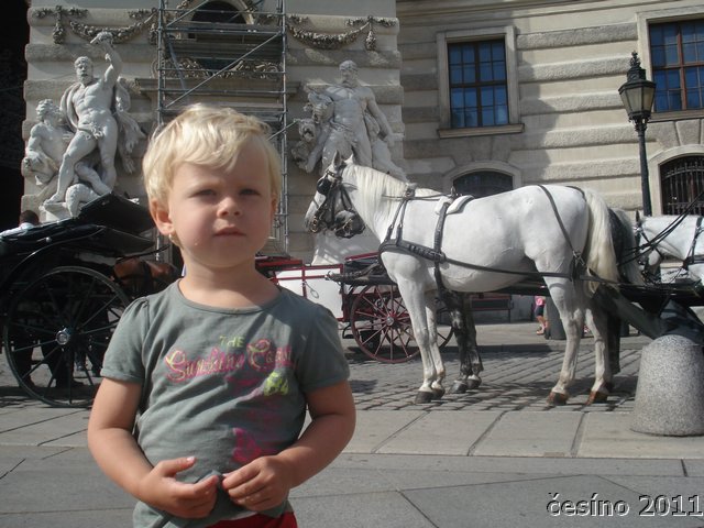 DSC04388.JPG