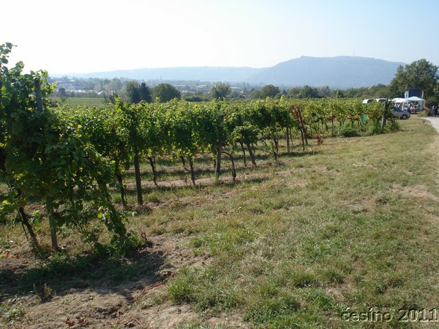 DSC05272.JPG