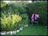 DSC04927.JPG