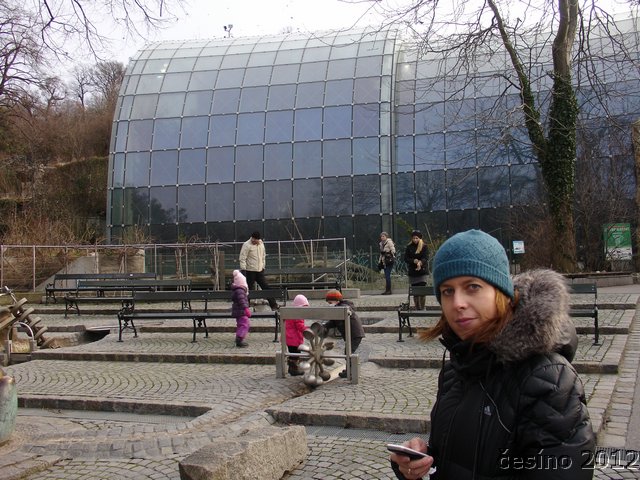 DSC00736.JPG