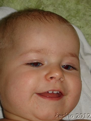 DSC00785.JPG