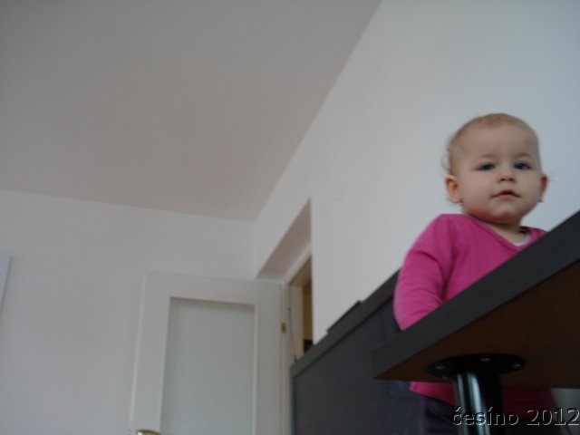 DSC06153.JPG
