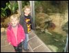 DSC06235.JPG