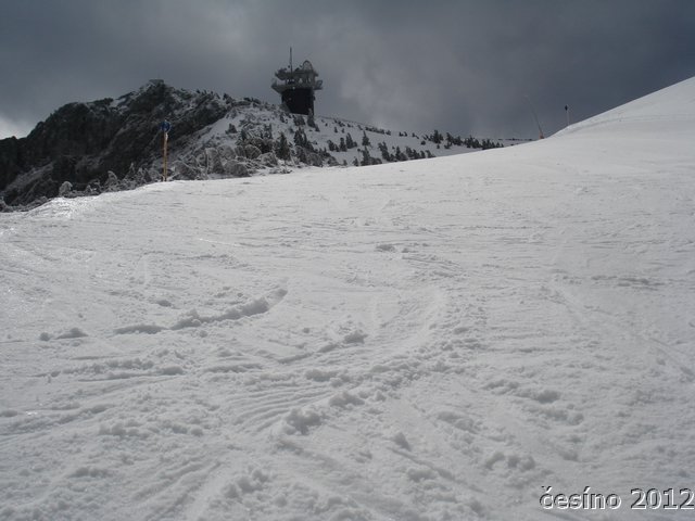 DSC06905.JPG