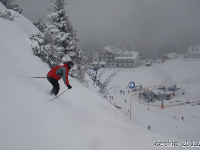 DSC06936.JPG