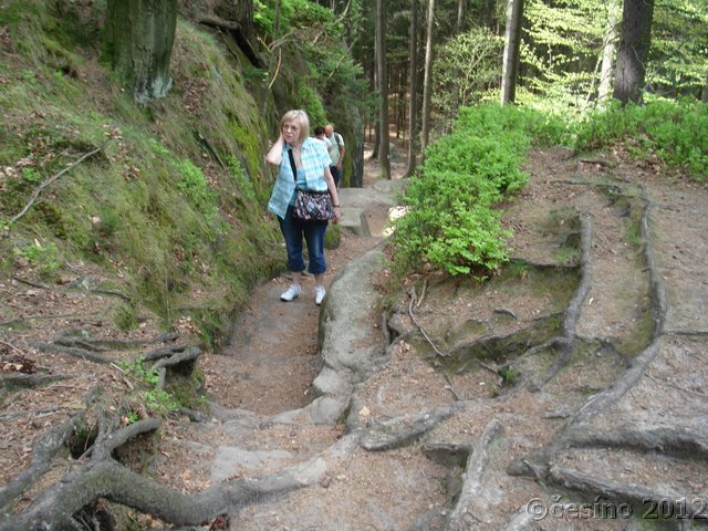 DSC07189.JPG