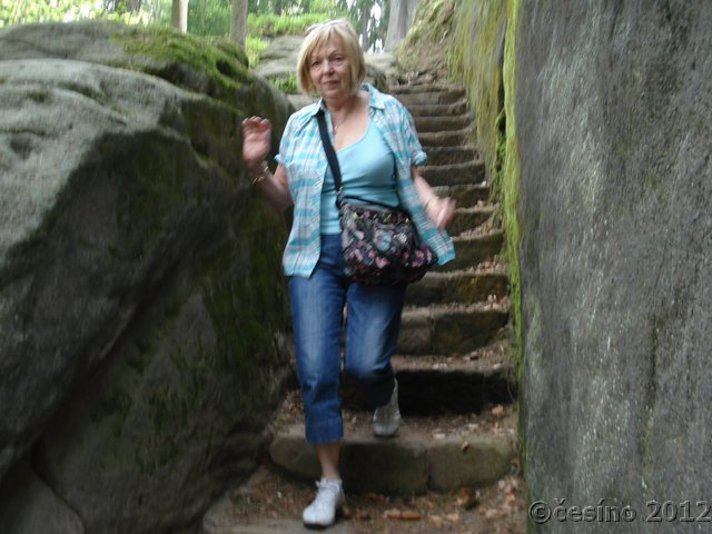DSC07230.JPG