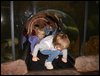 DSC01550.JPG