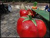 DSC00445.JPG