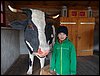 DSC00460.JPG