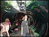 DSC00528.JPG