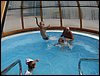 DSC03090.JPG