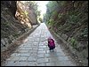 DSC04095.JPG