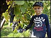 DSC04103.JPG