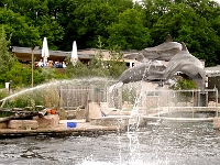 DSC06080