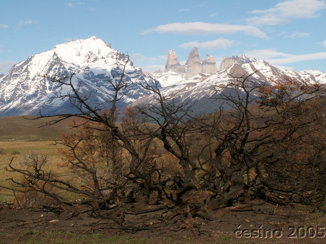 chile_038.JPG