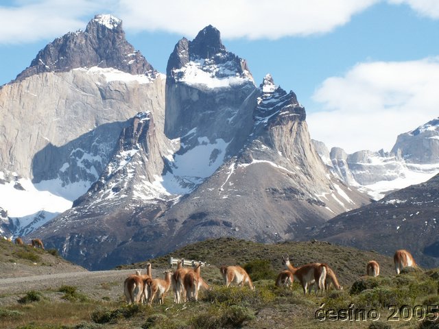 chile_040.JPG