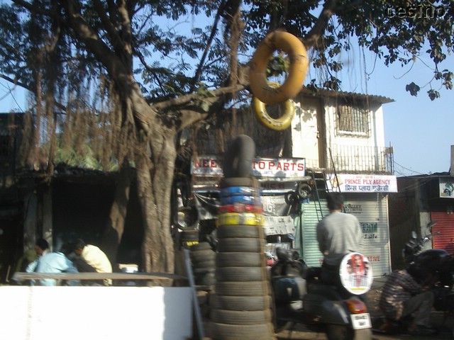 IMGP5920.JPG