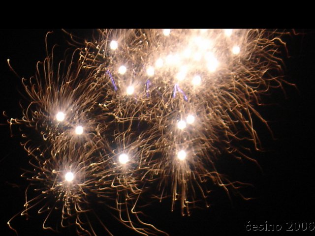 DSC08993.JPG