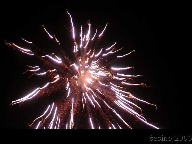 DSC09006.JPG