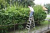 DSC08900.JPG