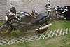 DSC08911.JPG