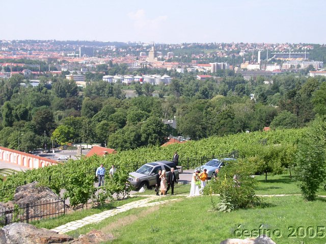 Svatba-21.JPG