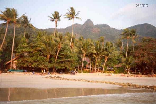 kochang1.jpg