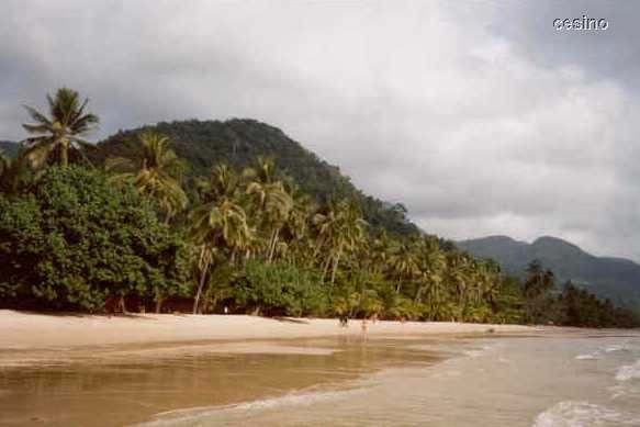 kochang8.jpg