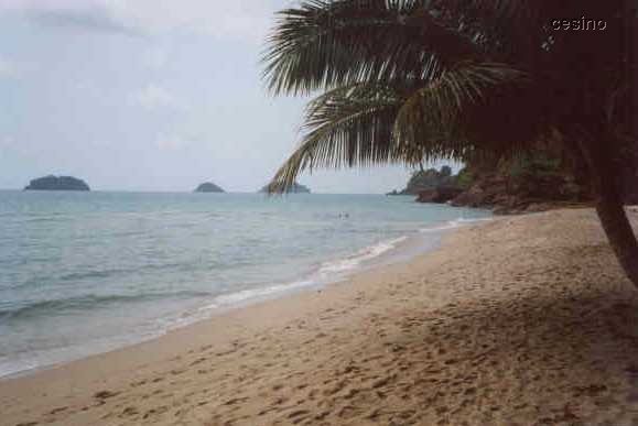 kochang9.jpg